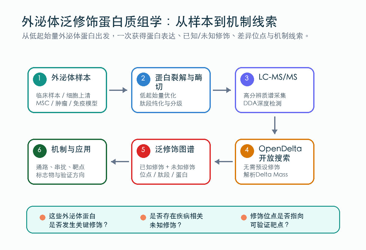 文章配图 2