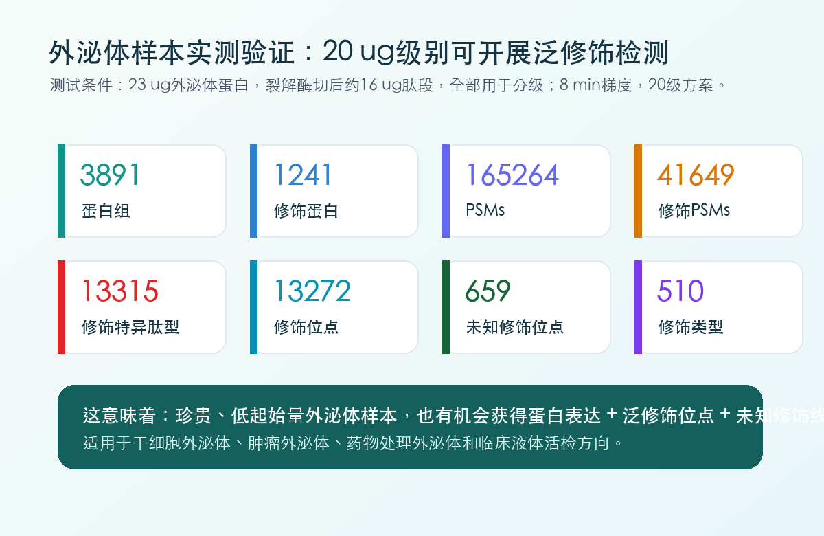 文章配图 5