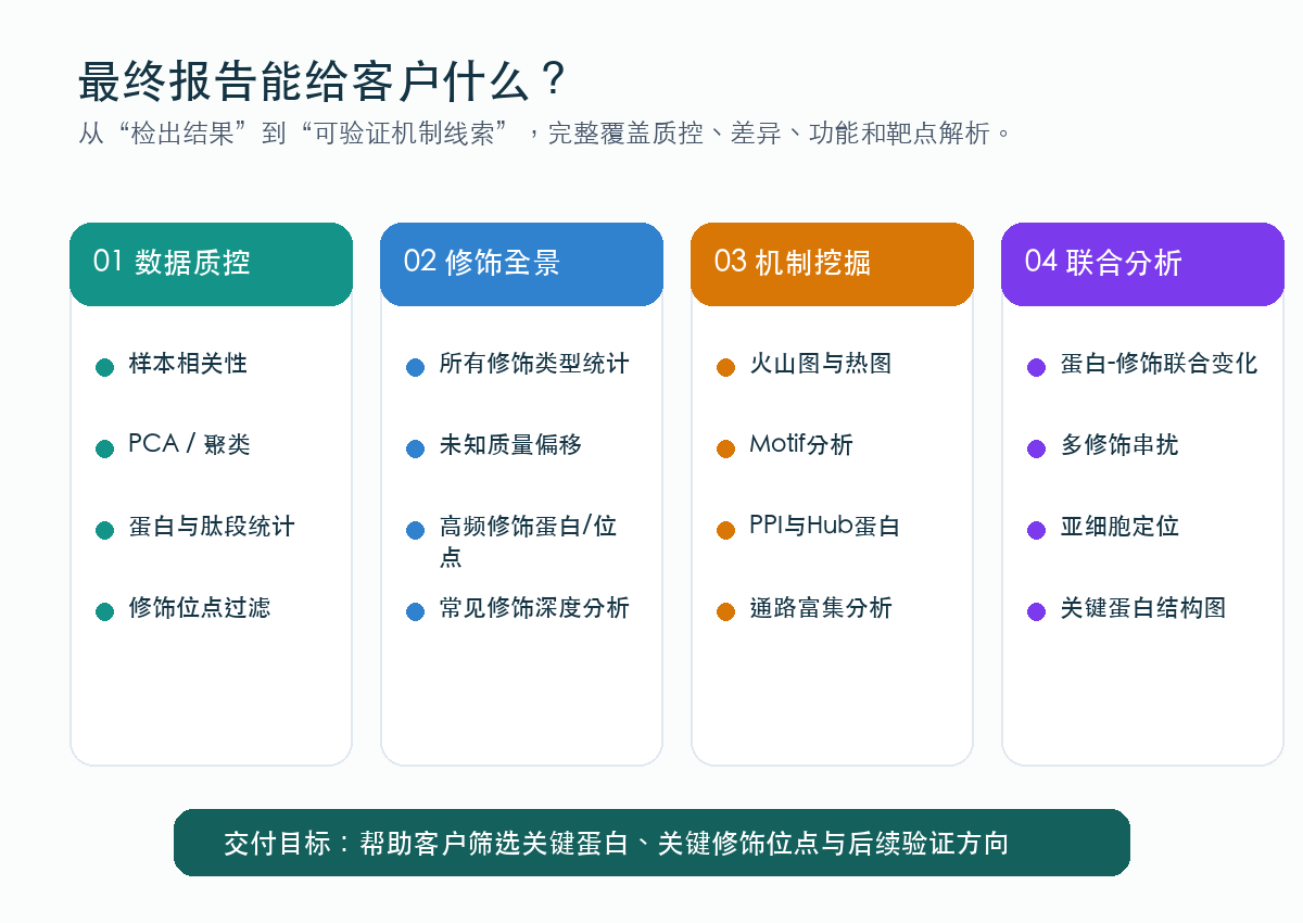 文章配图 9