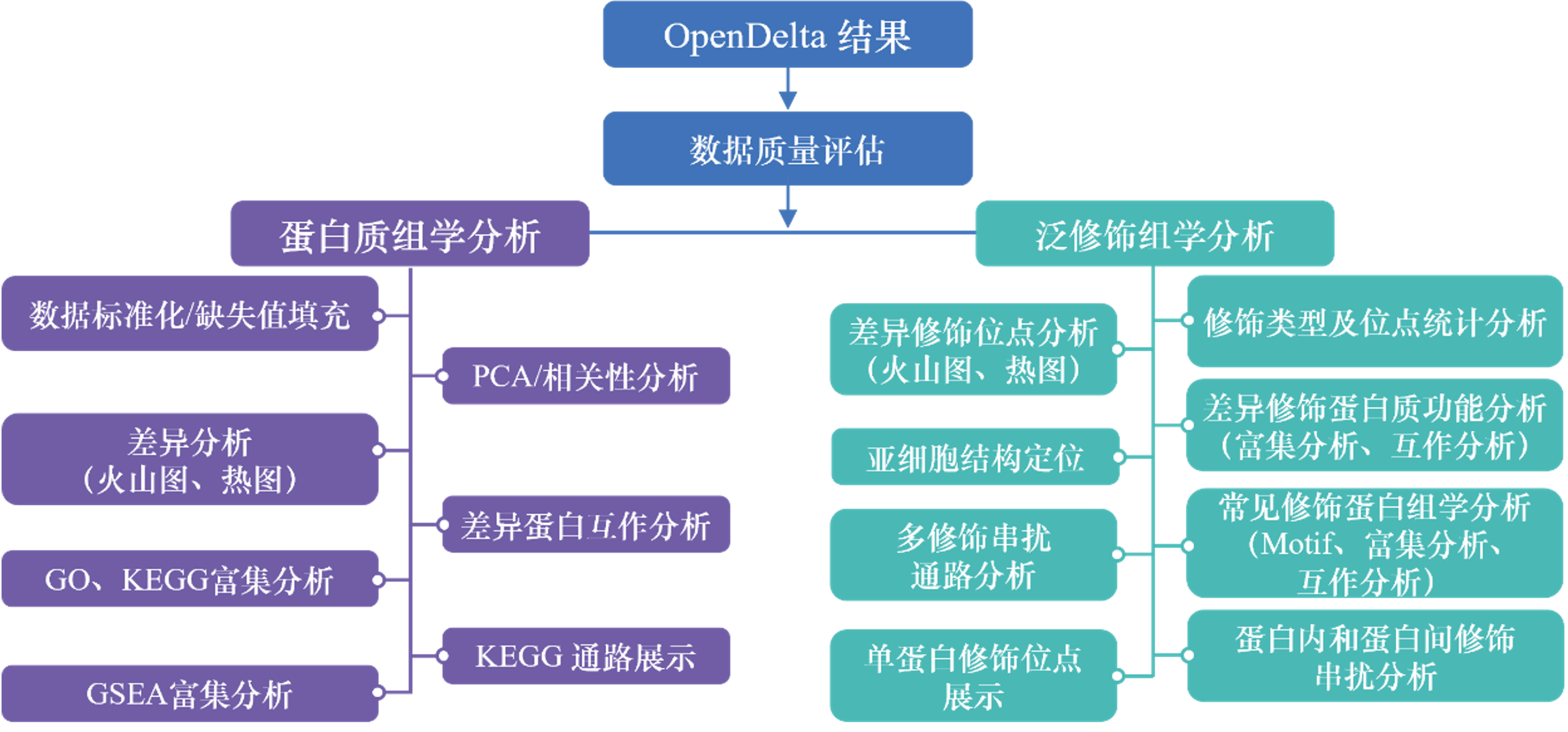 文章配图 10